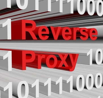 Shutterstock_657322222.jpg nginx reverse proxy goldengate