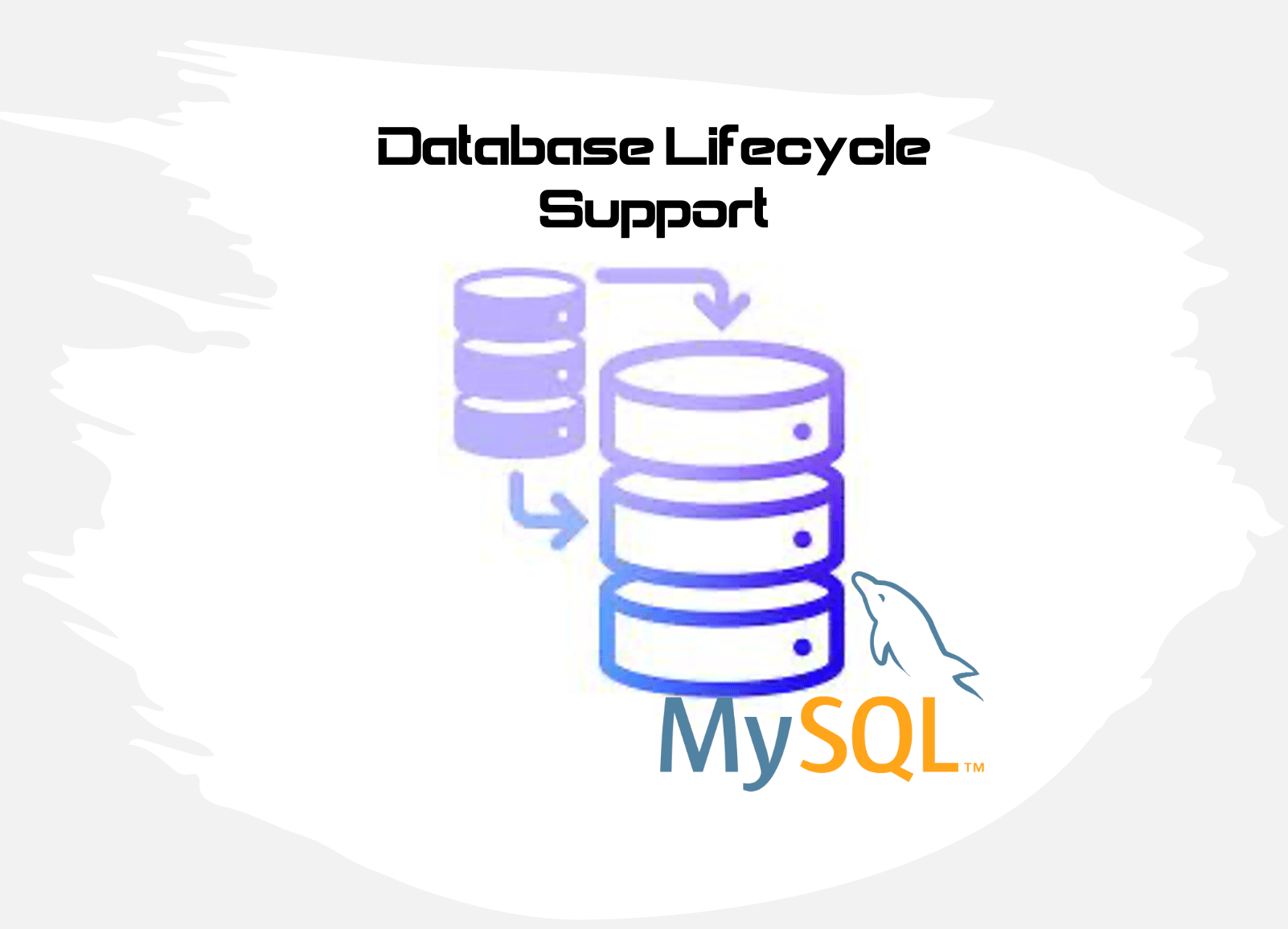 MySQL 8.0 and beyond: Lifecycle Support - RheoData