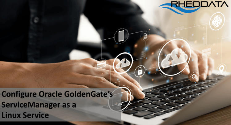 rd_configure_sm_service.png rheodata configure servicemanager as a service