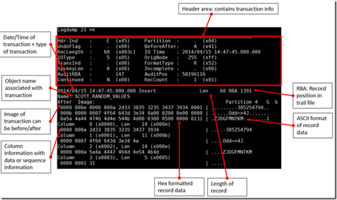 trail-file-header-example