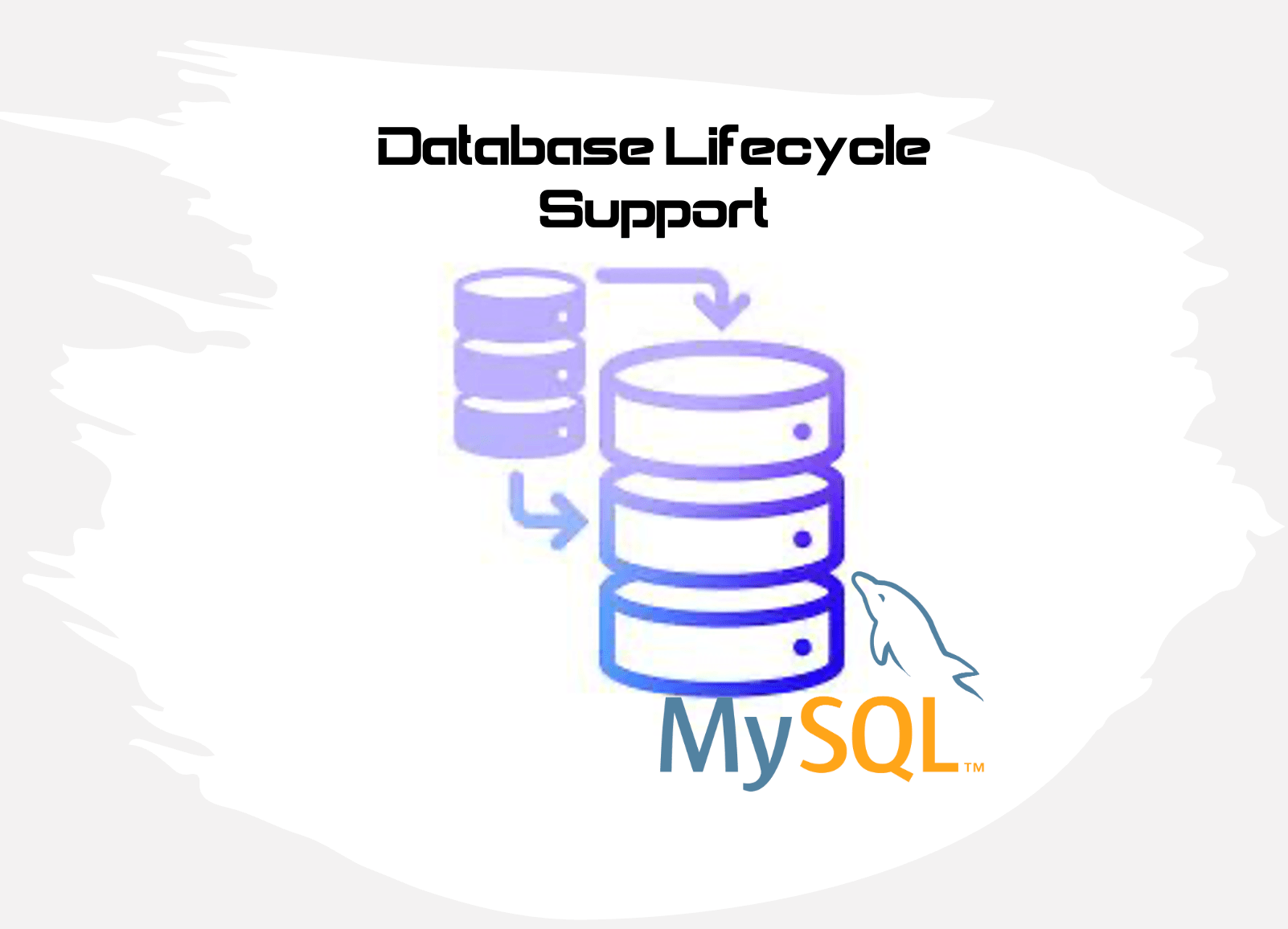 MySQL database lifecycle support