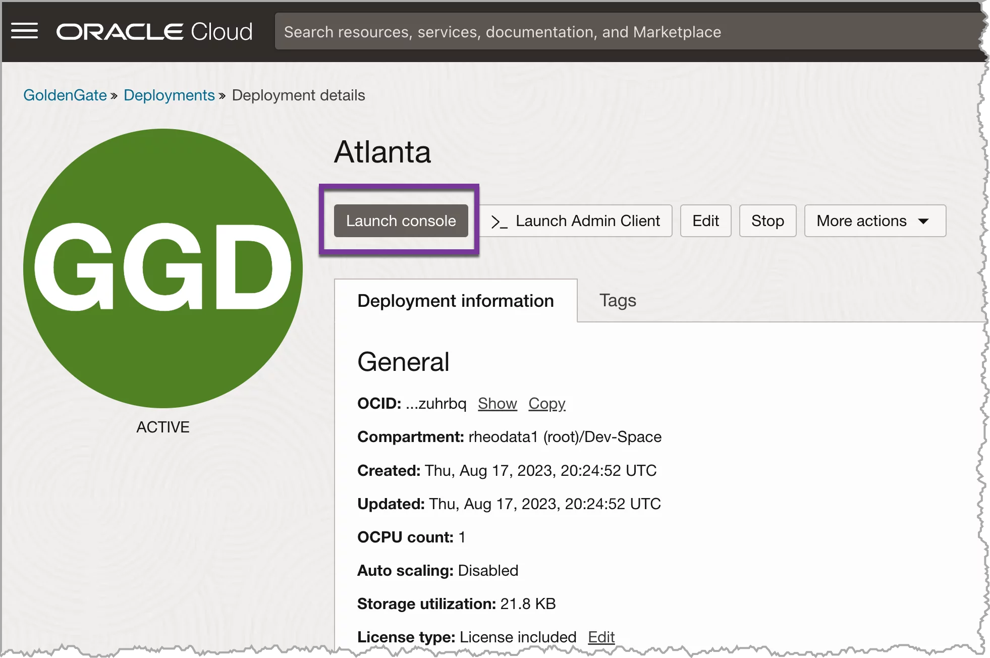 ggs launch deployment console